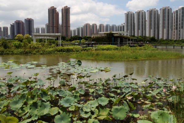 ▲ 틴수이와이 지역의 습지공원(Wet Land) (사진=scmp)