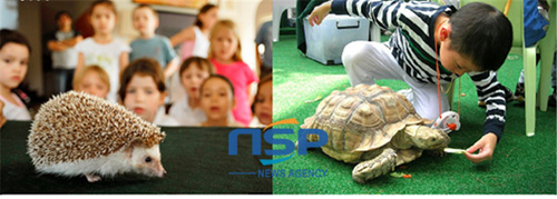 애니멀 에듀테인먼트는 학교수업, 생일파티 등에 희귀 동물들의 출장 서비스를 제공하고 있다. (사진 = 코트라 제공)