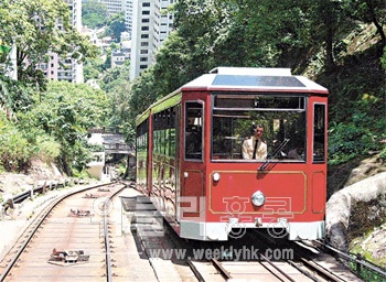 <사진 출처 : Metro Daily >