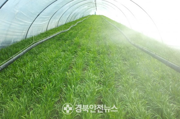 사진=경주시