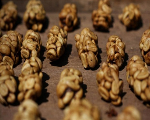 루왁커피(Kopi Luwak Coffee)