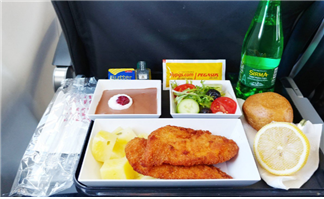 Pegasus Airlines