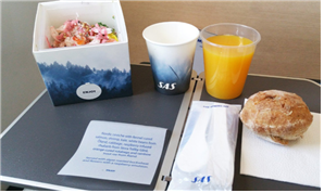 SAS Scandinavian Airlines
